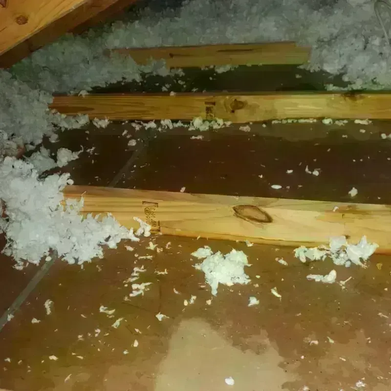 Attic Water Damage in Lake Marcel-Stillwater, WA