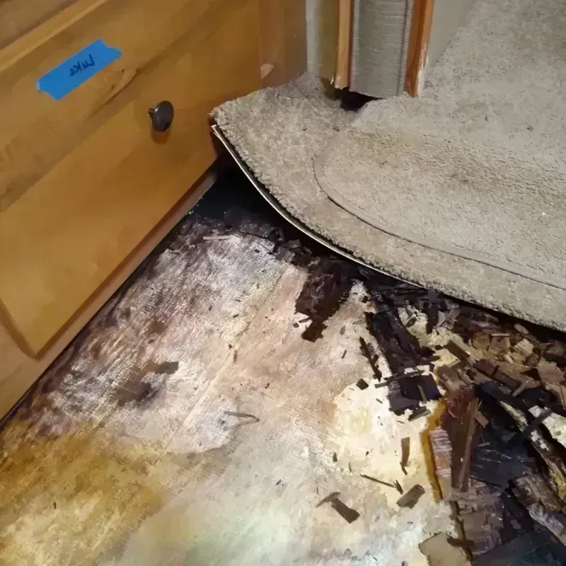 Wood Floor Water Damage in Lake Marcel-Stillwater, WA